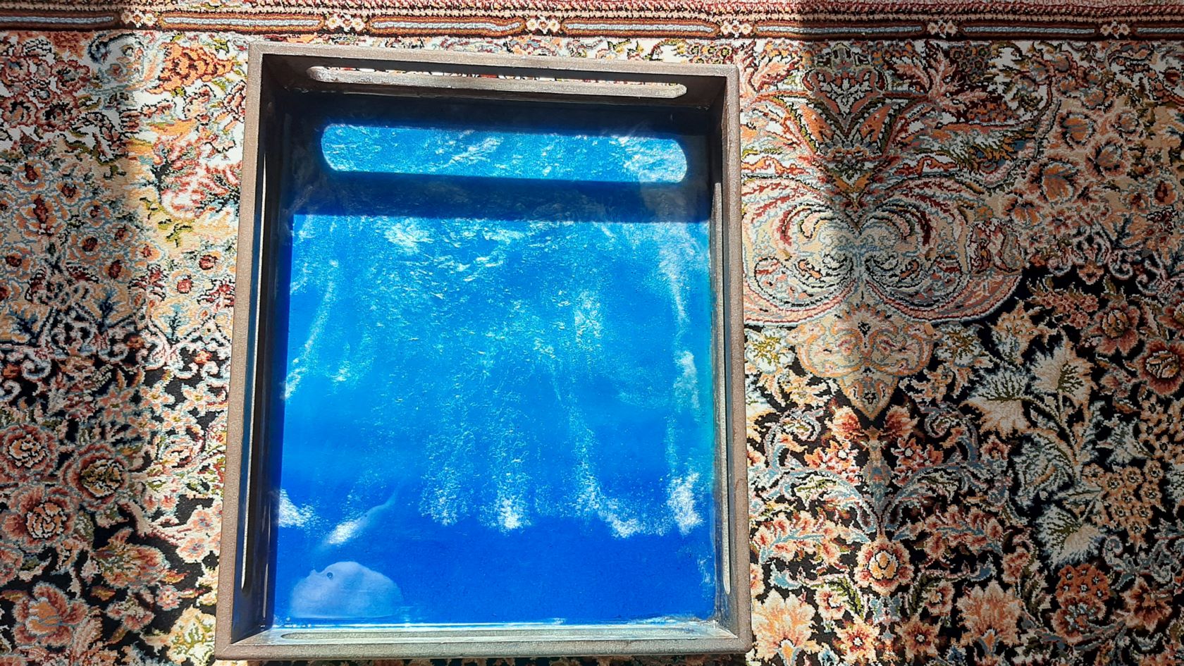 سینی رزینی